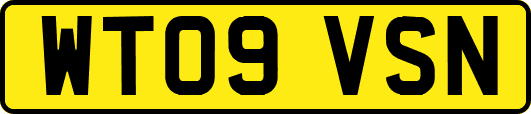 WT09VSN