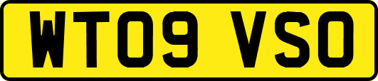 WT09VSO