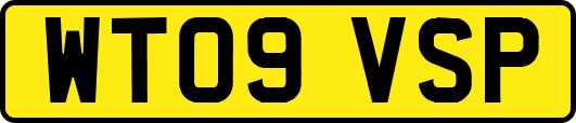 WT09VSP