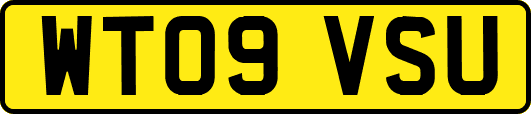 WT09VSU