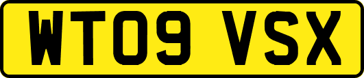 WT09VSX