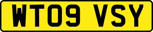 WT09VSY