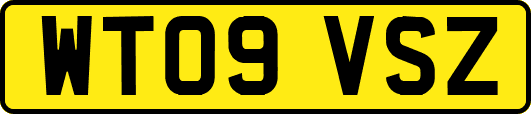 WT09VSZ
