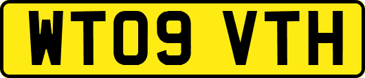 WT09VTH