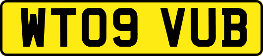WT09VUB