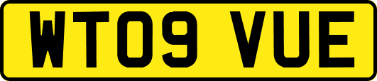 WT09VUE