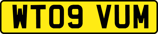 WT09VUM