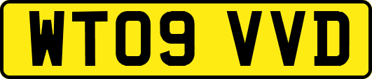 WT09VVD