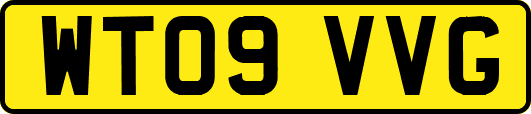WT09VVG