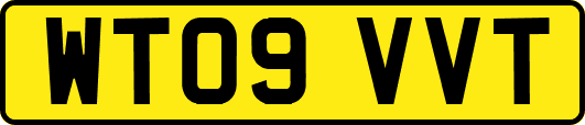 WT09VVT