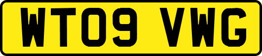 WT09VWG