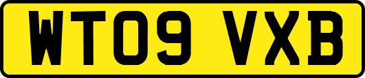 WT09VXB