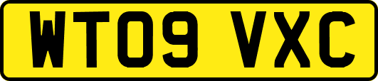 WT09VXC