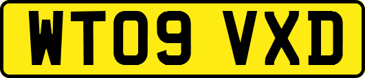 WT09VXD