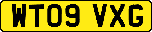 WT09VXG