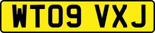 WT09VXJ