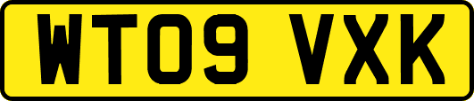 WT09VXK