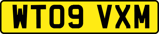WT09VXM