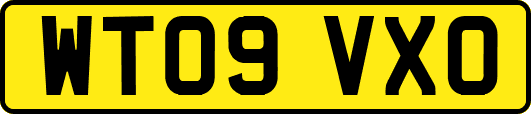 WT09VXO