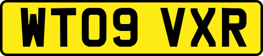 WT09VXR