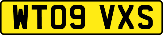 WT09VXS