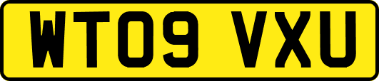 WT09VXU