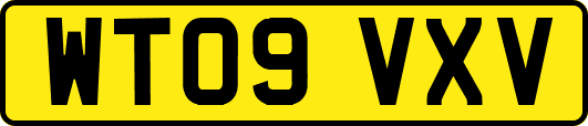 WT09VXV