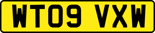 WT09VXW