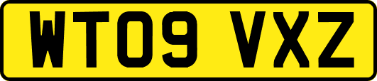 WT09VXZ