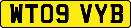 WT09VYB