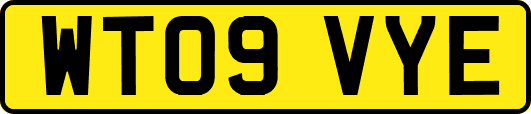 WT09VYE