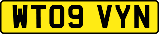 WT09VYN