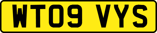 WT09VYS