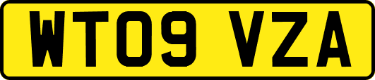 WT09VZA