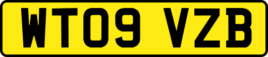 WT09VZB
