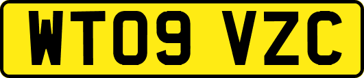 WT09VZC