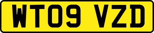 WT09VZD