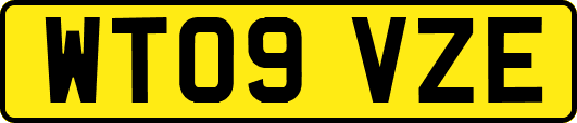 WT09VZE