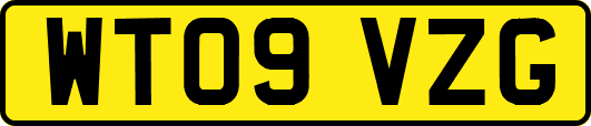WT09VZG