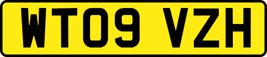 WT09VZH