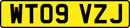 WT09VZJ