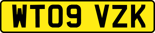 WT09VZK