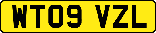 WT09VZL