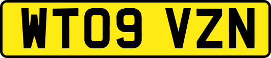 WT09VZN