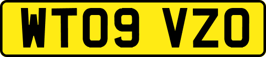 WT09VZO