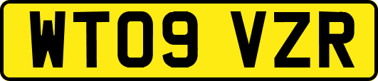 WT09VZR