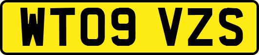 WT09VZS