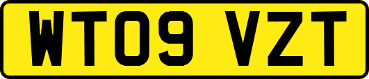 WT09VZT