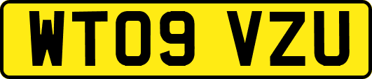 WT09VZU