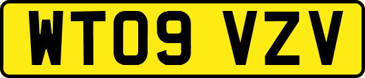 WT09VZV